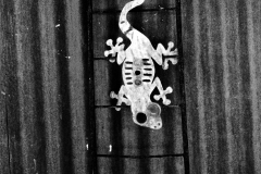 Rerapan 400 © 2021