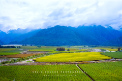 Kodak Ektar 100 © 2021 Shen Hao 4x5 Horseman 6x12 RFB