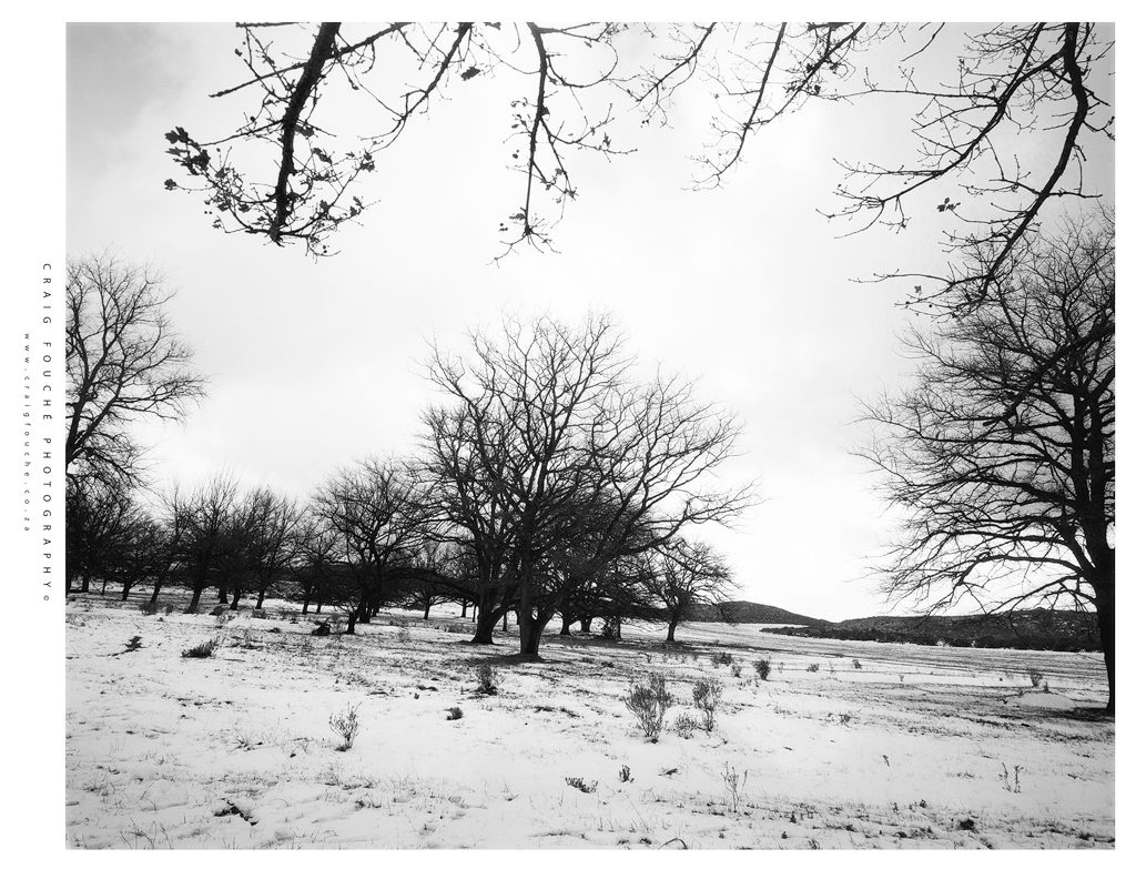 Ilford HP5+ 400 – LEE Red Filter