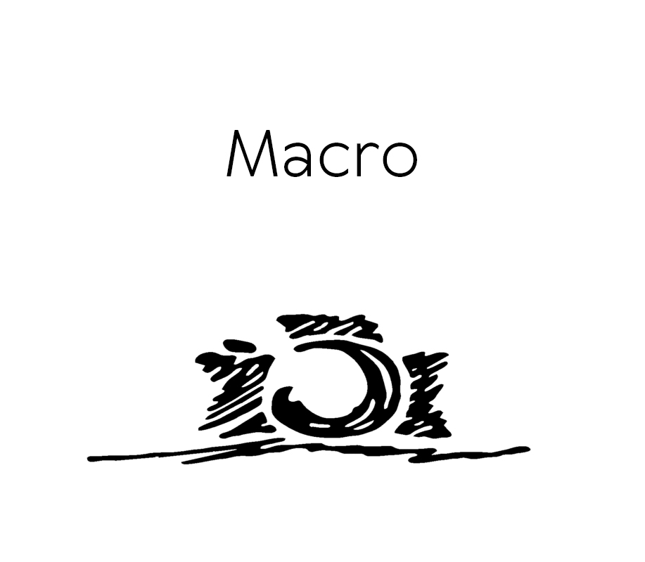 CFP-Macro