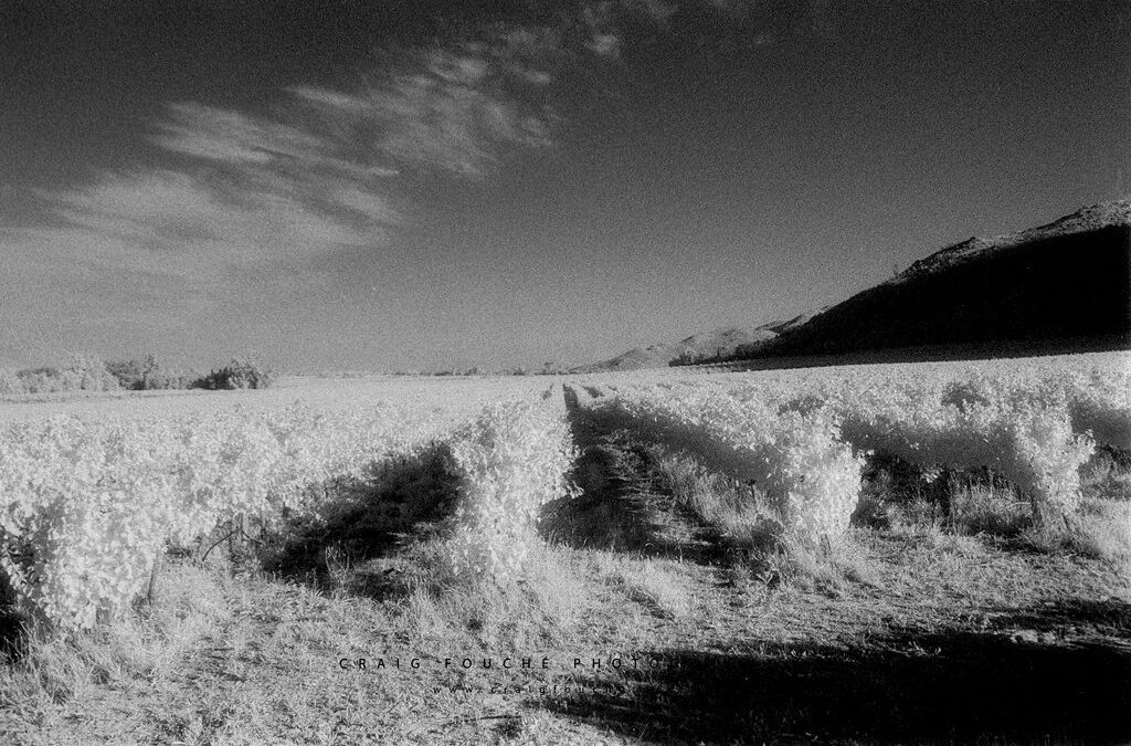 Film Photography – Kodak Professional HIE Infrared Film