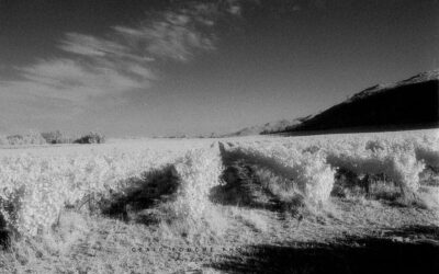 Film Photography – Kodak Professional HIE Infrared Film