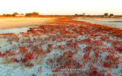 Seascape Photography – Wamakersvlei