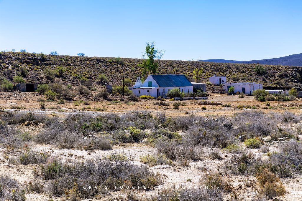 Hope, Tankwa Karoo National Park, South-Africa