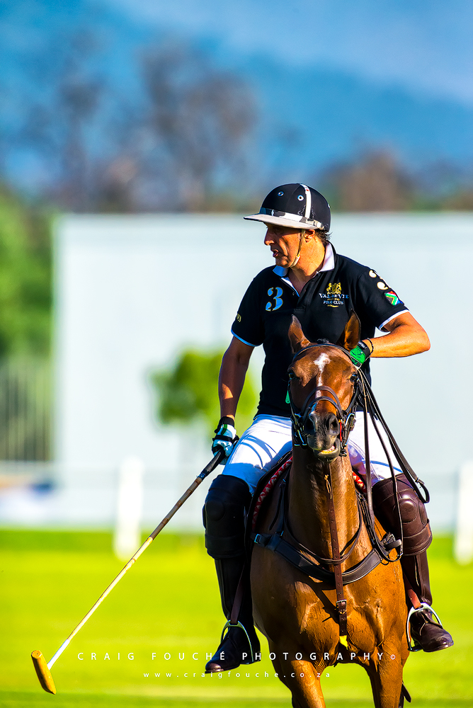 Polo, Val de Vie, Paarl, Horse, Sport, Portfolio, Collection, Craig Fouché Photography