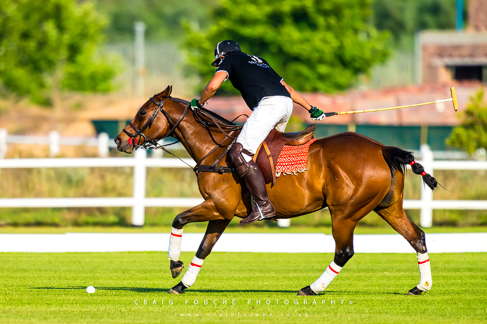 Polo, Val de Vie, Paarl, Horse, Sport, Portfolio, Collection, Craig Fouché Photography