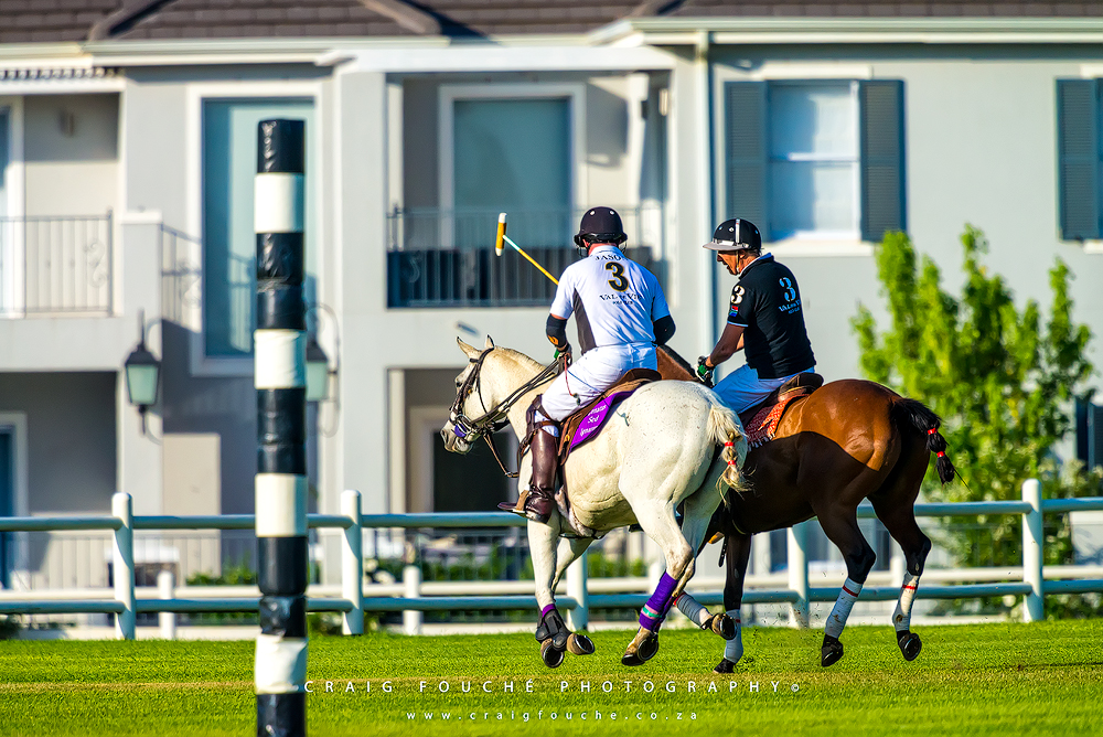 Polo, Val de Vie, Horses, Sport, Portfolio, Collection, Craig Fouché Photography