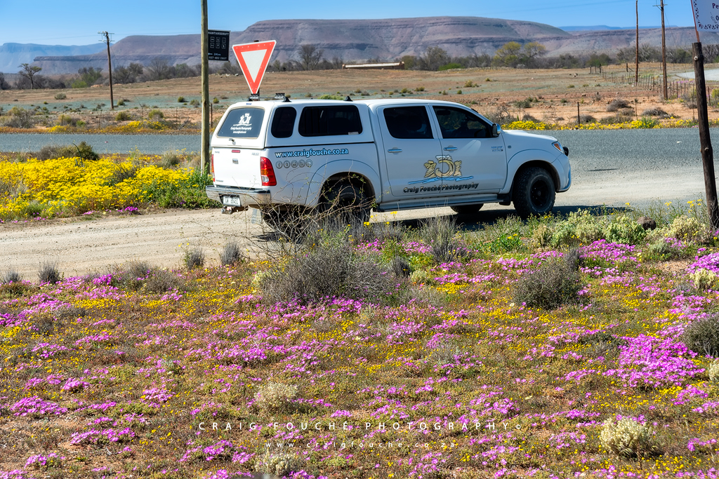 Nieuwoudtville, Namaqualand