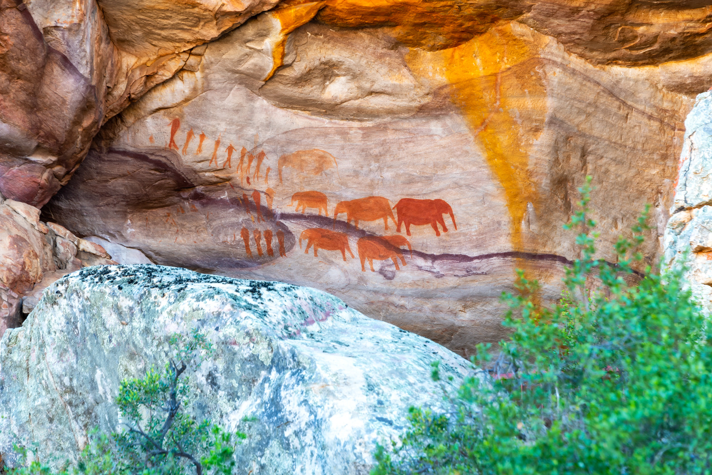 Elephant Bushman paintings, Cederberg South Africa