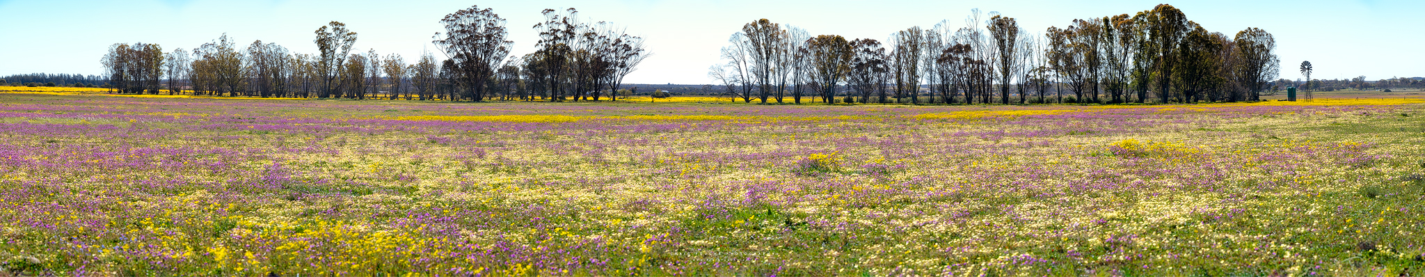 Namaqualand