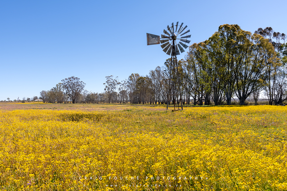 Namaqualand