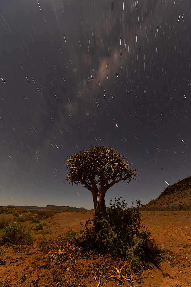 Namaqualand