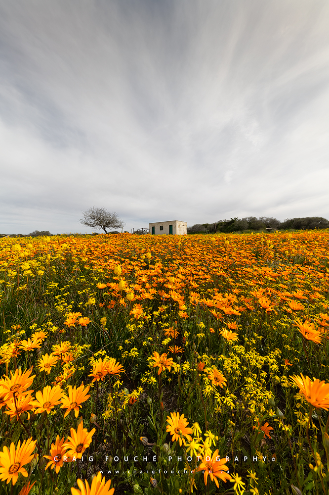Namaqualand