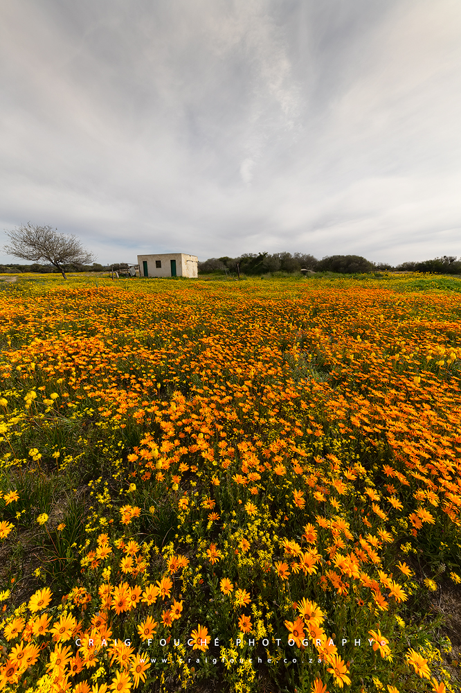 Namaqualand